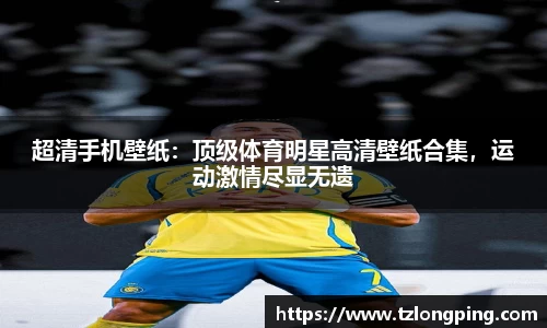 万博max入口