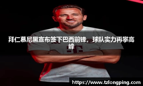 万博max平台