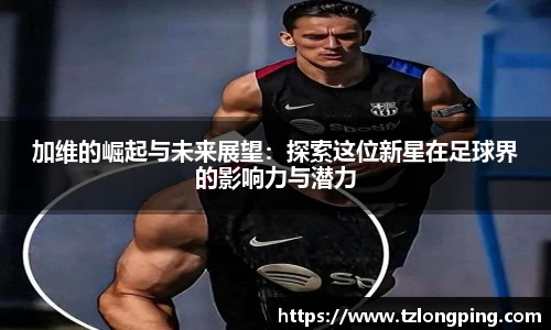 万博max官网