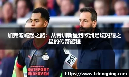 万博max平台