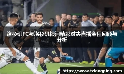 万博max官网