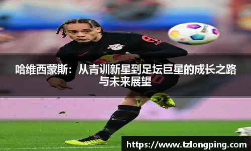 万博max平台
